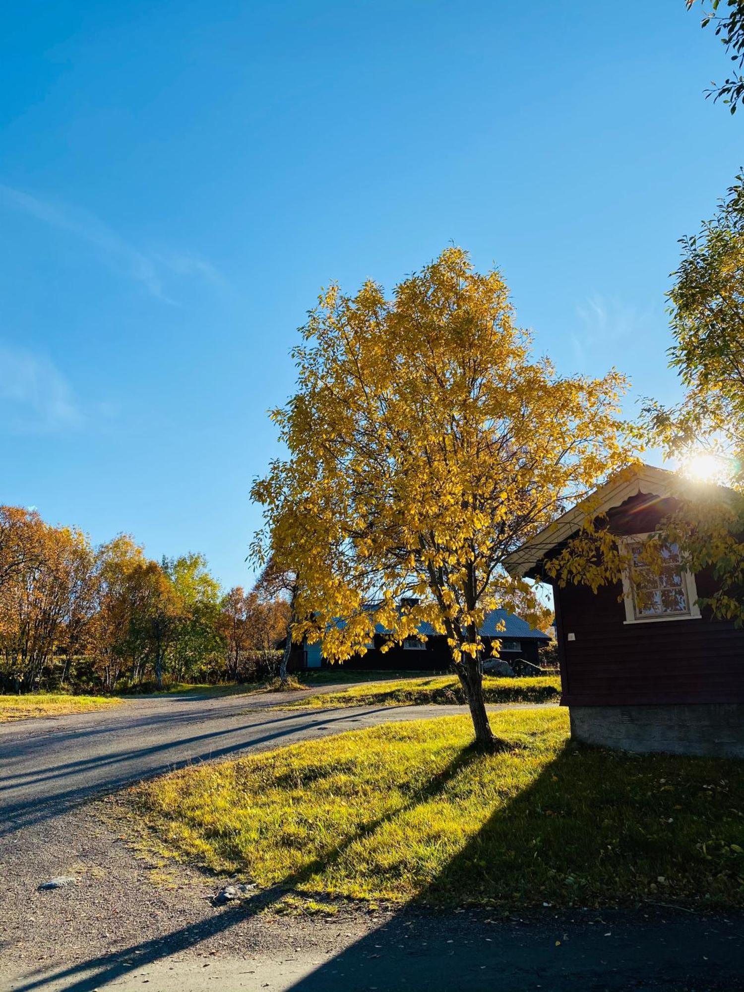 Sortland Camping Og Motell As Eksteriør billede