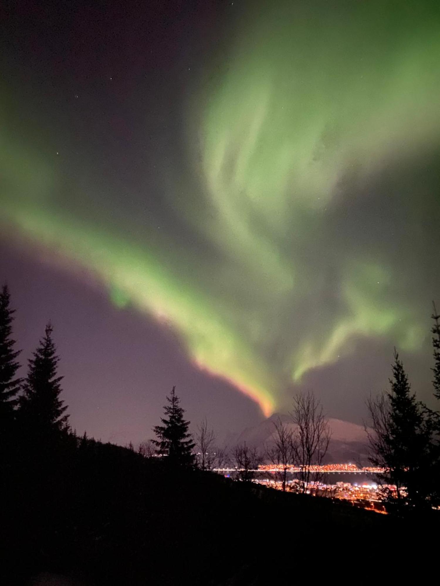 Sortland Camping Og Motell As Eksteriør billede