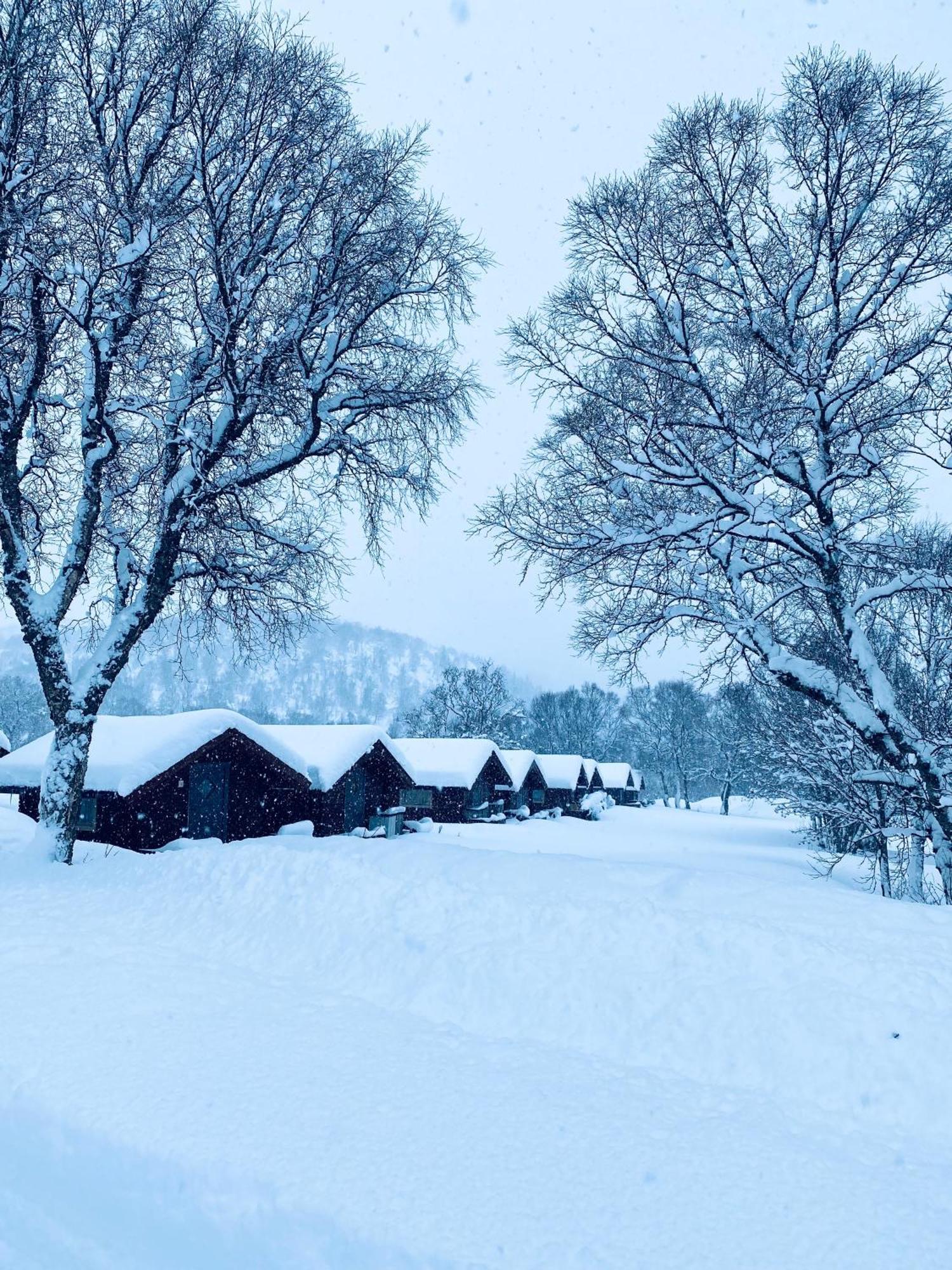 Sortland Camping Og Motell As Eksteriør billede